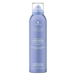 Restructuring Bond Repair Leave-In Treatment Mousse 241gr ALTERNA