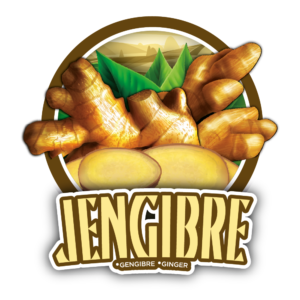 Dona Flora Jengibre